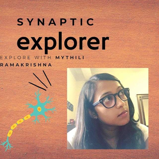 Synaptic Explorer