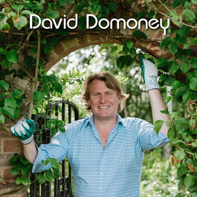 David Domoney - Horticulturist presenter on TV