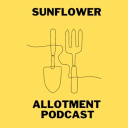 Sunflower Allotment Podcast