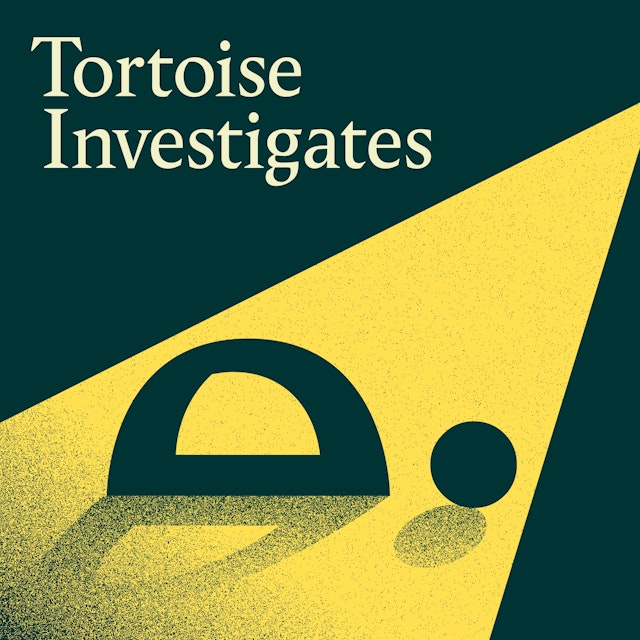 Tortoise Investigates
