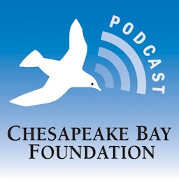 Turning the Tide, Saving the Chesapeake Bay
