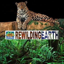 Rewilding Earth Podcast