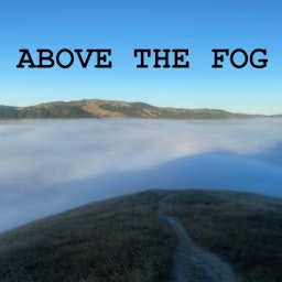 Above The Fog