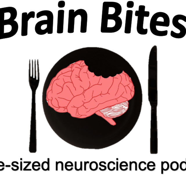 ASCEND Brain Bites