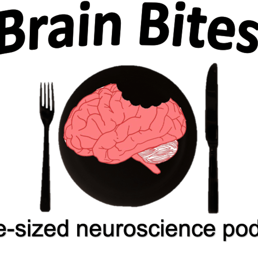 ASCEND Brain Bites