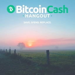 Bitcoin Cash Hangout