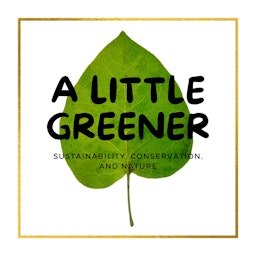 A Little Greener