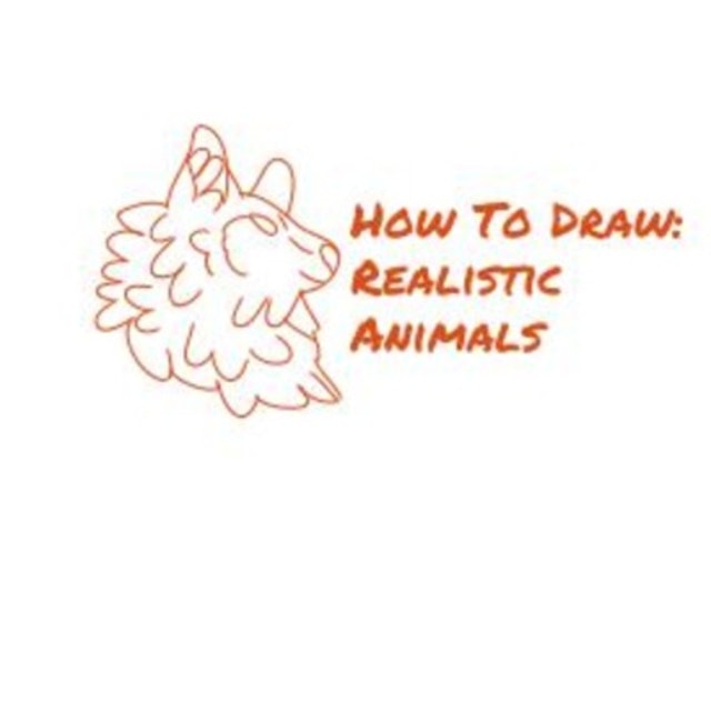 How To Draw: Realistic Animals