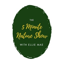5 Minute Nature Show
