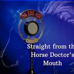 Straight from the Horse Doctor's Mouth