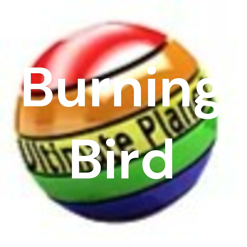 Burning Bird