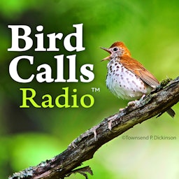 BirdCallsRadio