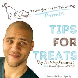 Tips for Treats: The Dog Training Pawdcast