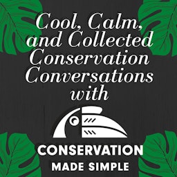 Conservation Made Simple