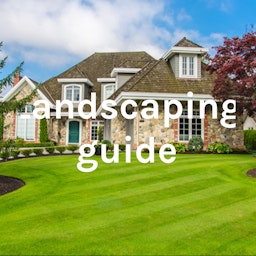 Landscaping guide | Eden Landscaping Services