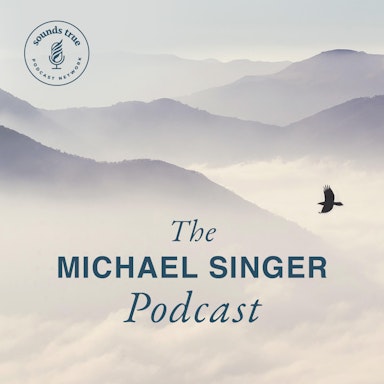 Michael Singer Podcast-image}