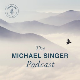 Michael Singer Podcast