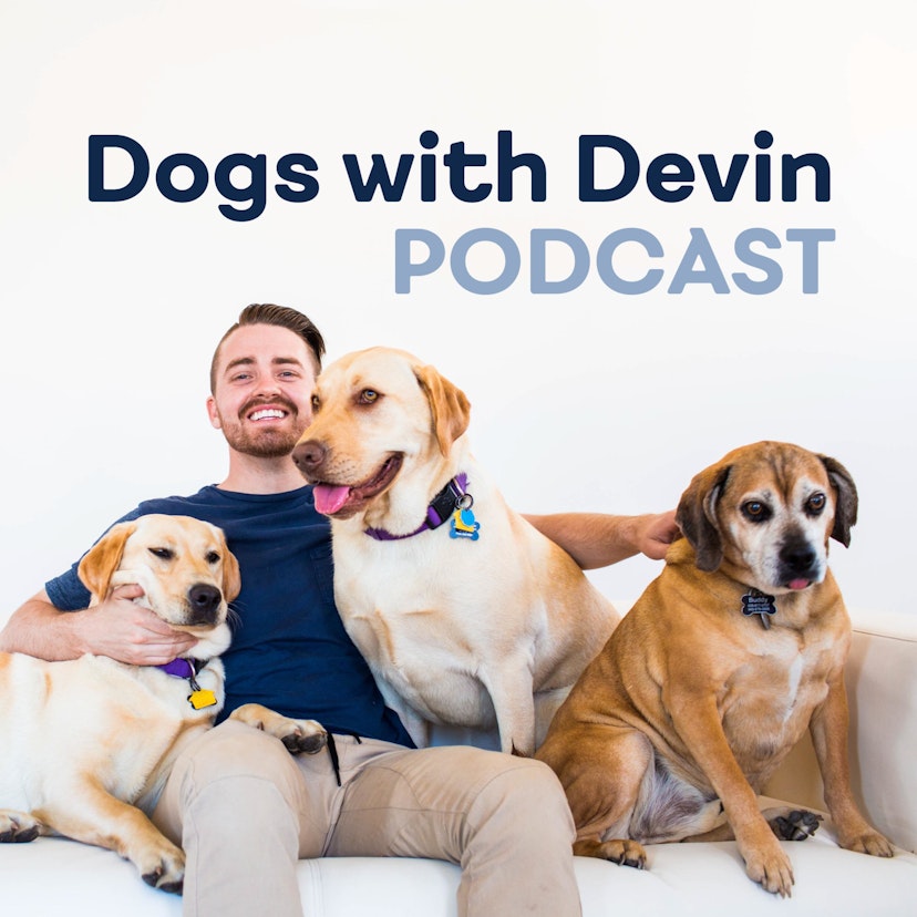 Dogs with Devin