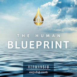 The Human Blueprint