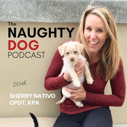 The Naughty Dog Podcast