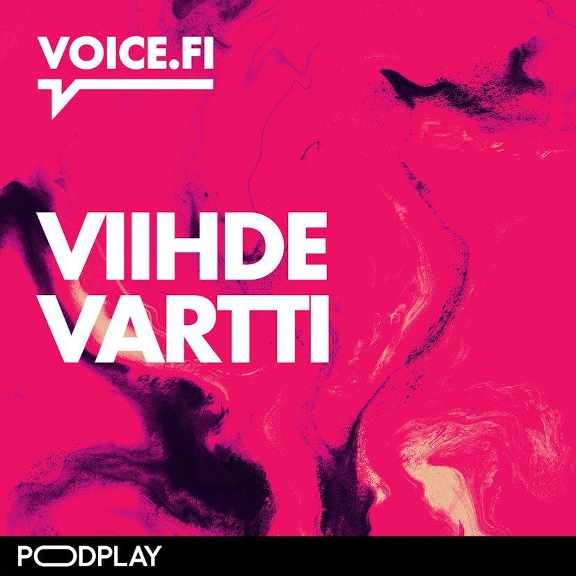 Voice.fi: Viihdevartti