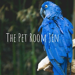 The Pet Room Jen