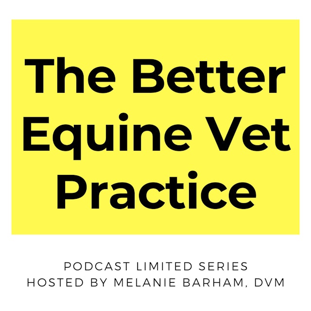 The Better Equine Vet Practice
