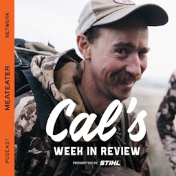 Cal's Week in Review