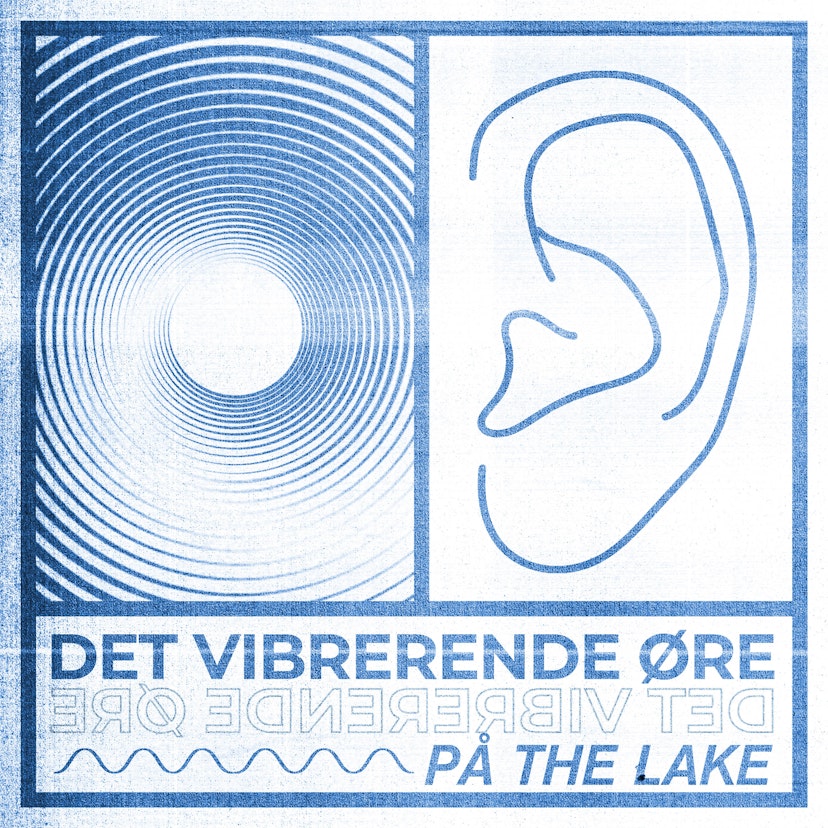 Det Vibrerende Øre på The Lake
