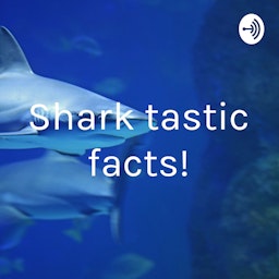 Shark tastic facts!