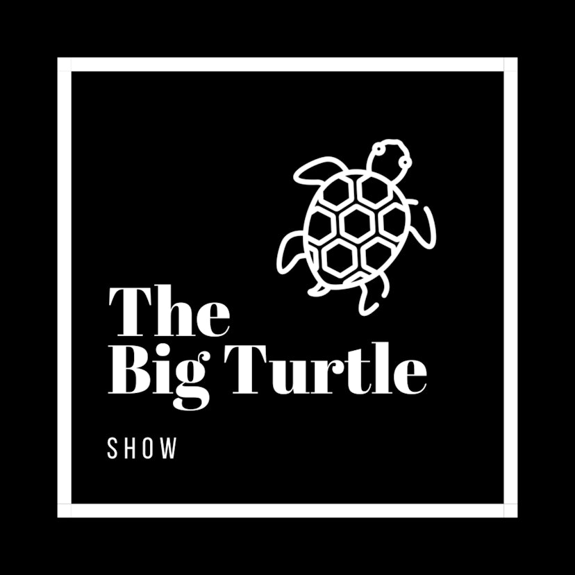 The Big Turtle Show with Vik Zutshi