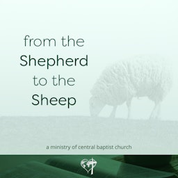 From the Shepherd to the Sheep