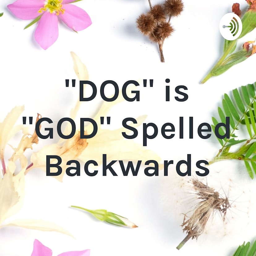 "DOG" is "GOD" Spelled Backwards
