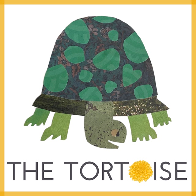 The Tortoise with Brooke McAlary