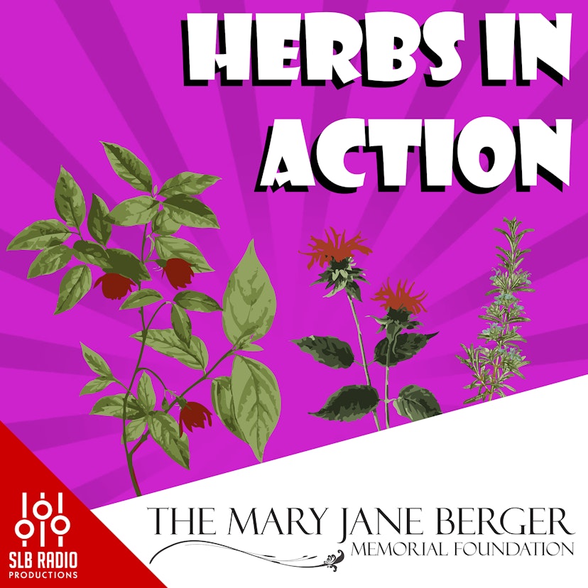 Herbs in Action