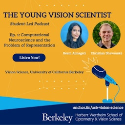 The Young Vision Scientist