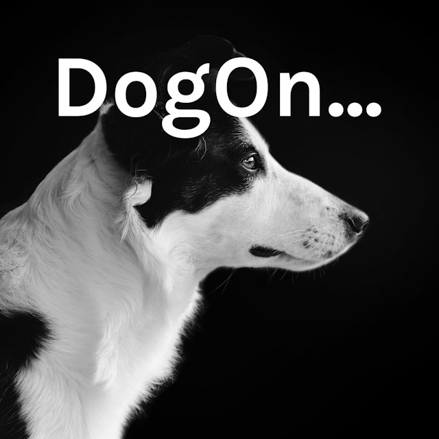 DogOn...