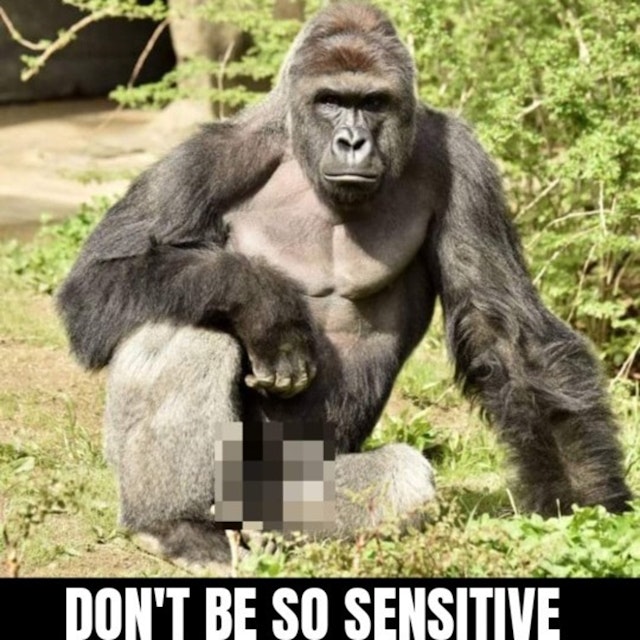 Don't be so sensitive