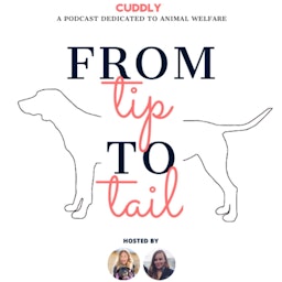From Tip to Tail, a Podcast Dedicated to Animal Welfare