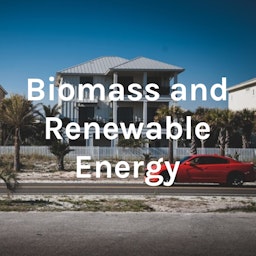 Biomass and Renewable Energy