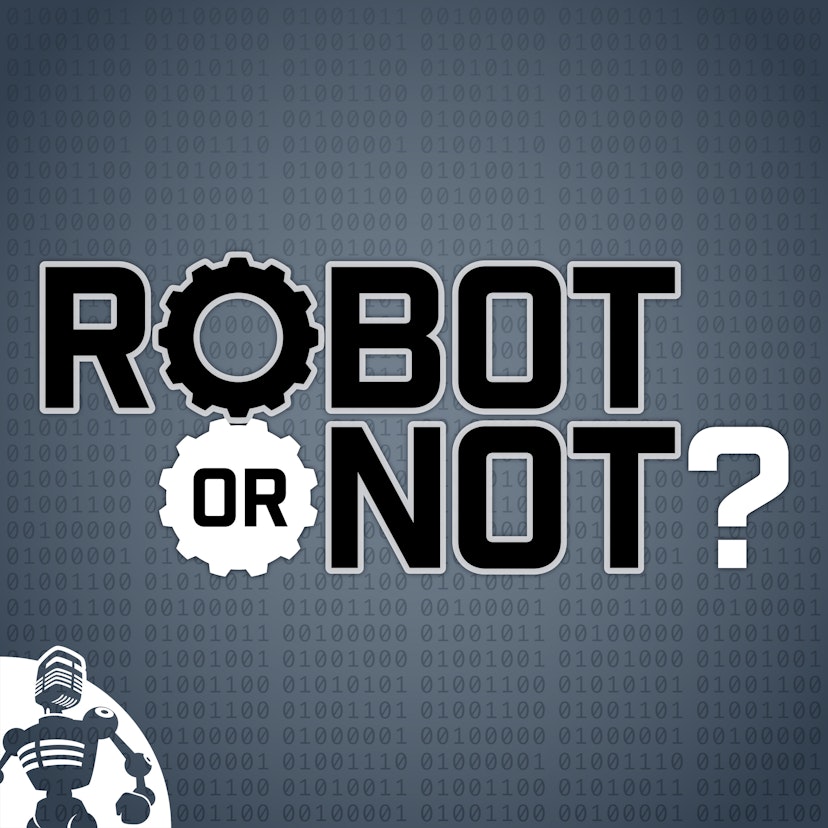 Robot or Not?