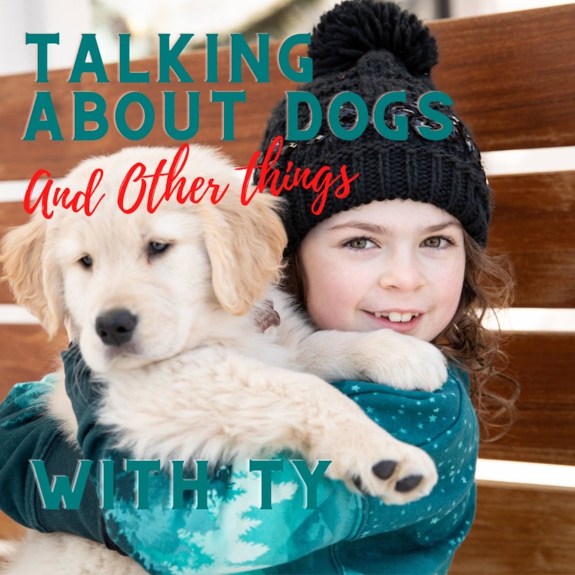 Talking About Dogs (and other things) with Ty