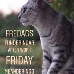 Fredags Funderingar - After Work - Friday Meanderings