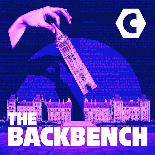 The Backbench