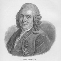 Podding Linnaeus