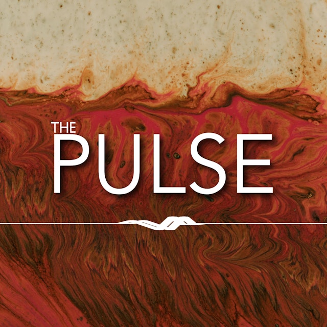 The Pulse Podcast by On Mission