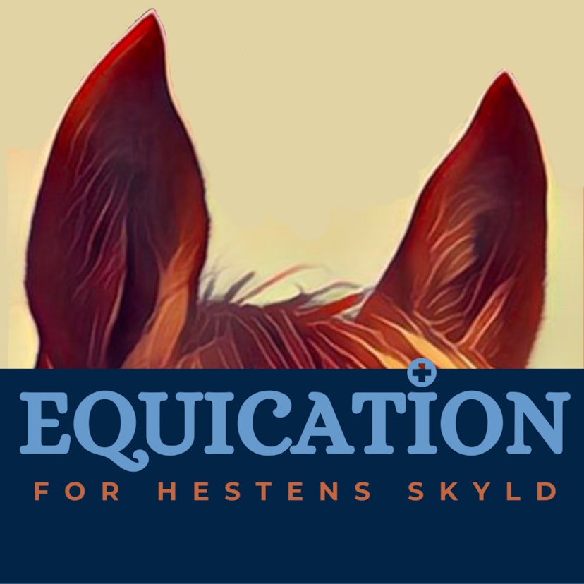 Equication - For hestens skyld