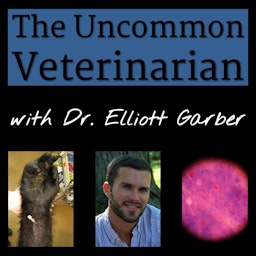 The Uncommon Veterinarian Podcast