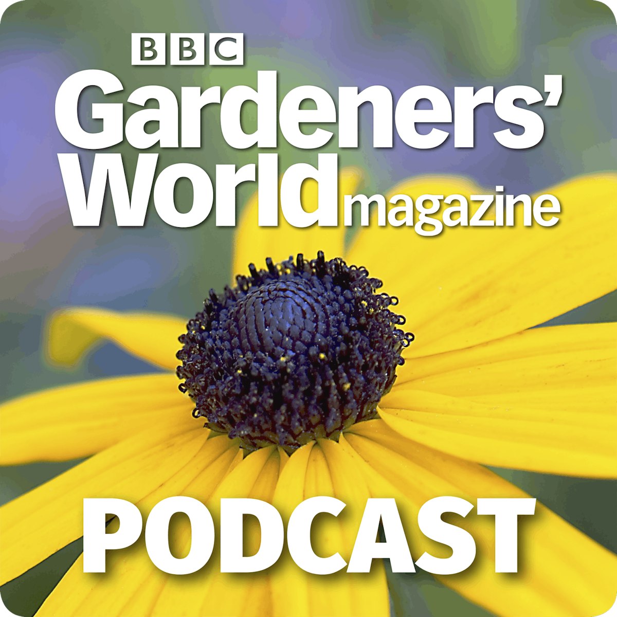 How to Get Rid of Rats in the Garden - BBC Gardeners' World Magazine