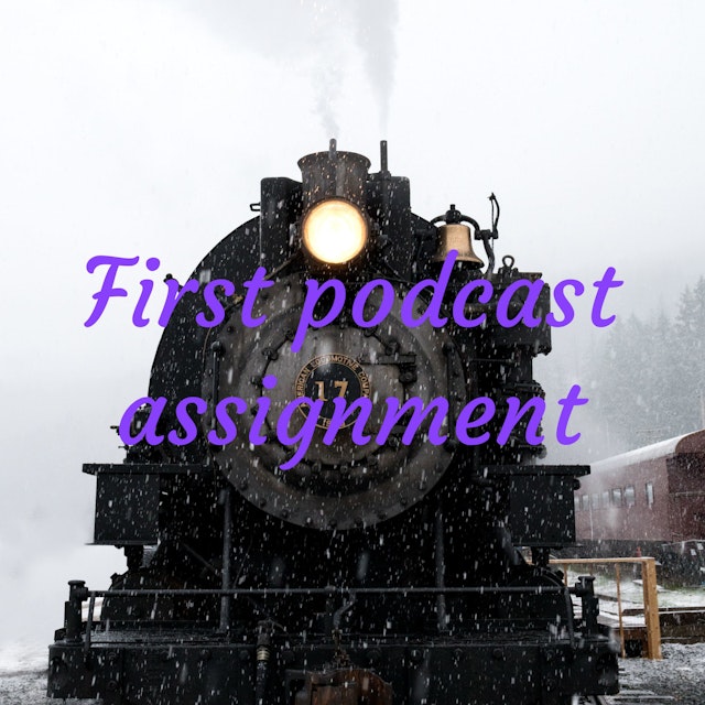 First podcast assignment